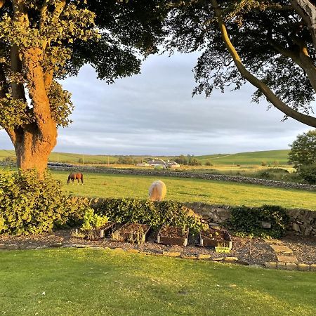 Galloway Farmstay Claunch Newton Stewart Εξωτερικό φωτογραφία